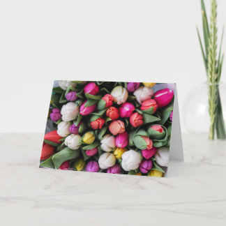 Tulip Spring Greeting Card