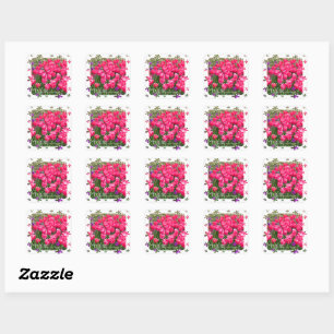Tulip Square Sticker