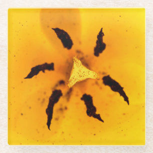 Tulip stamen and pollen glass coaster