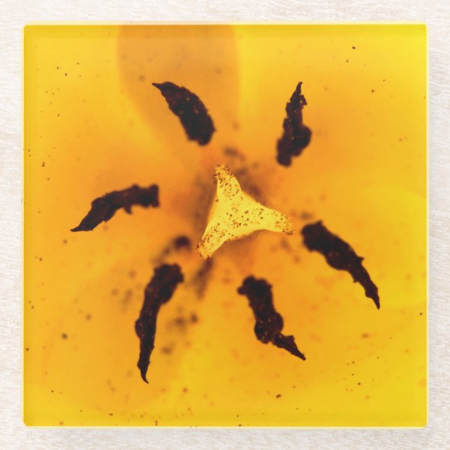 Tulip stamen and pollen glass coaster (Front)