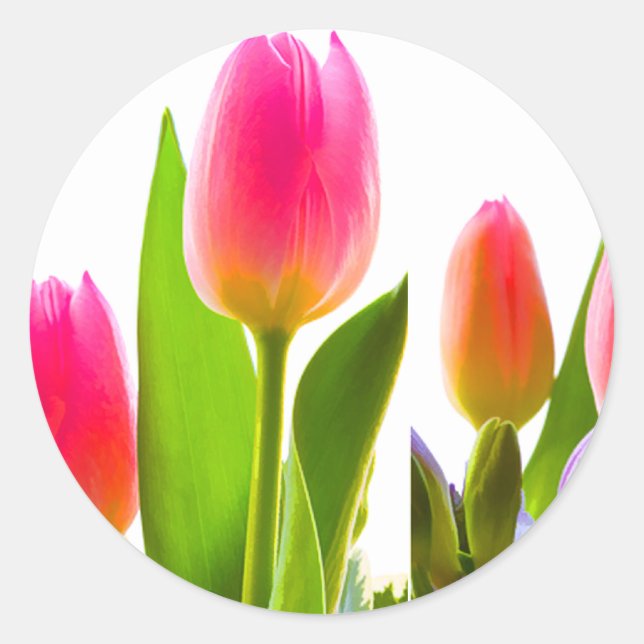 Tulip Sticker (Front)
