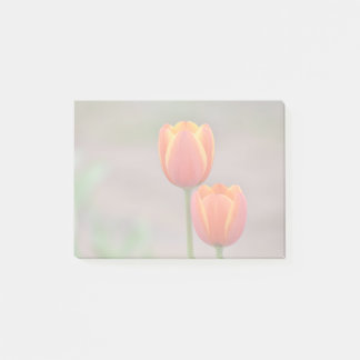 Tulip Sticky Notes