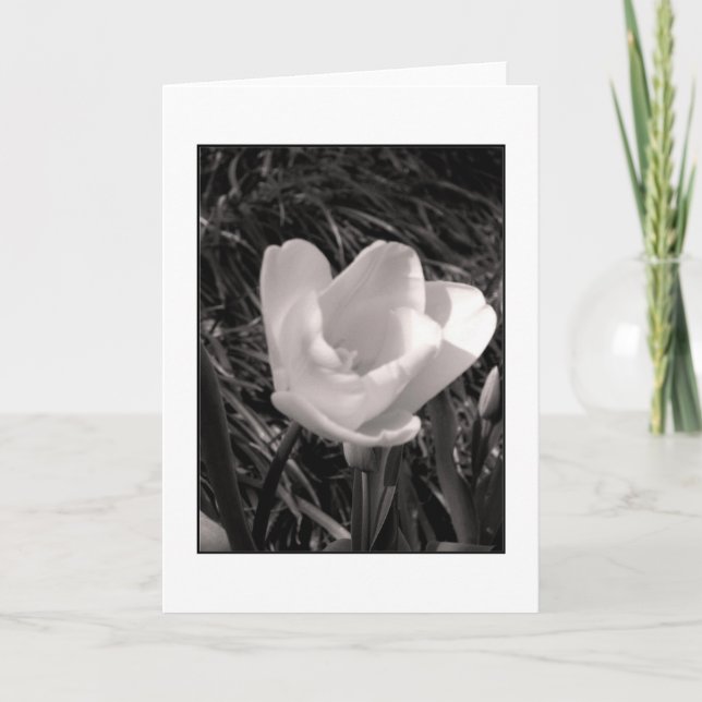 Tulip Still-life Blank Greeting Card (Front)