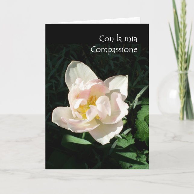 'Tulip' Sympathy Card - Italian Greeting (Front)