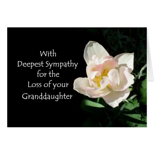 Tulip Sympathy Card - Loss of a Granddaughter | Zazzle