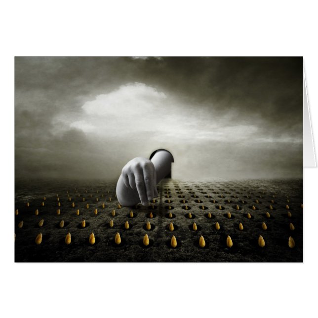 Tulip thief 2013 (Front Horizontal)