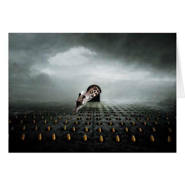 tulip thief 2 2013 (Front Horizontal)