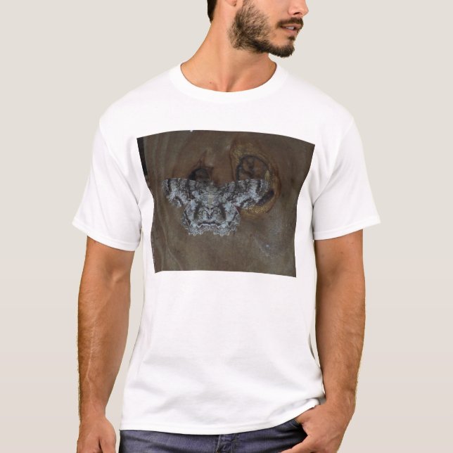 Tulip-tree Beauty T-Shirt (Front)