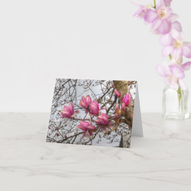 Tulip Tree Blossoms Card (Orchid)