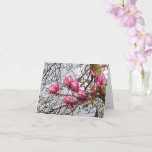 Tulip Tree Blossoms Card