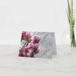 Tulip Tree Blossoms Card