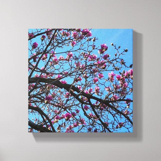 Tulip tree canvas print (Front)
