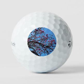 Tulip Tree in Bloom Golf Balls