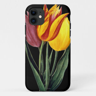 Tulip (Tulipa Gesneriana) iPhone 11 Case