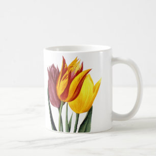Tulip (Tulipa Gesneriana) Coffee Mug