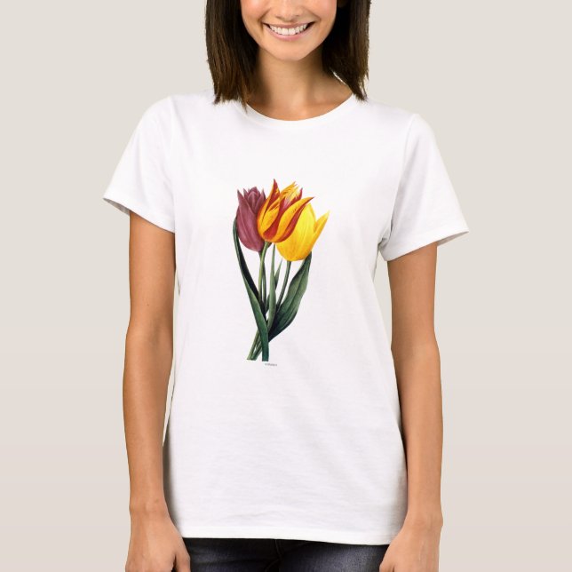 Tulip (Tulipa Gesneriana) T-Shirt (Front)
