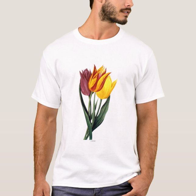 Tulip (Tulipa Gesneriana) T-Shirt (Front)