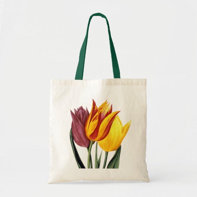 Tulip (Tulipa Gesneriana) Tote Bag (Front)