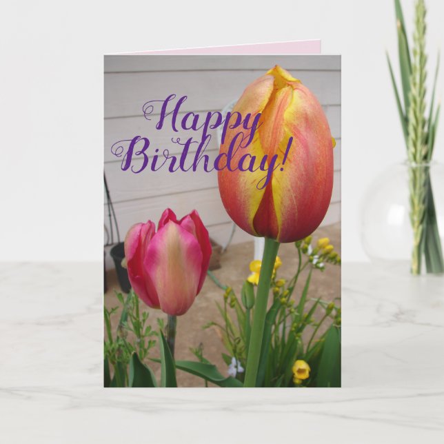 Tulip Tulips Red Pink Flower Floral Birthday Card (Front)