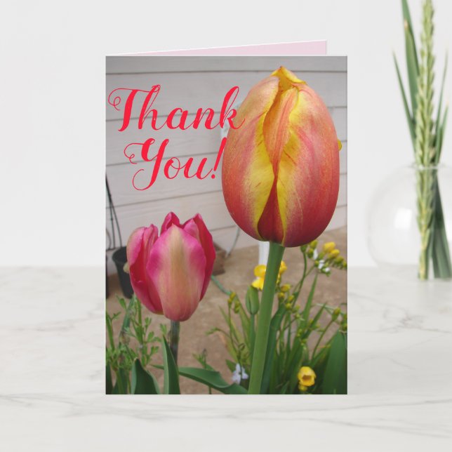Tulip Tulips Red Pink Flower Floral Thank You Card (Front)