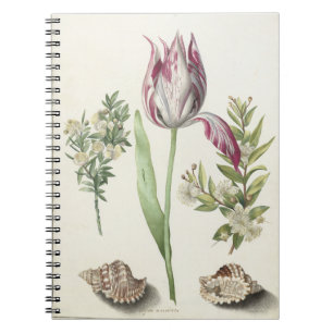 Tulip, two Branches of Myrtle Postcard Notebook