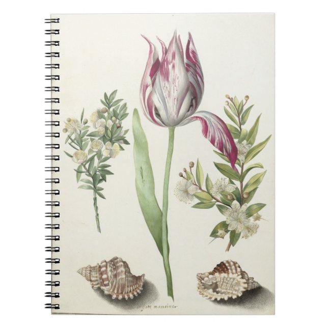 Tulip, two Branches of Myrtle Postcard Notebook (Front)