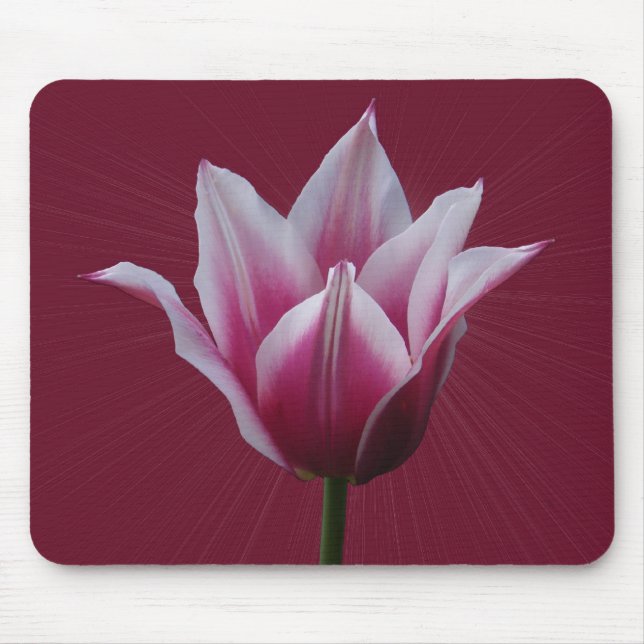 Tulip w/sunburst ~ mousepad (Front)