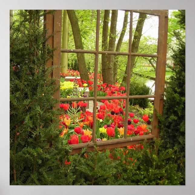 Tulip window print (Front)