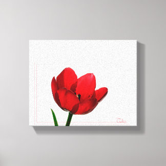 Tulip Wrapped Canvas