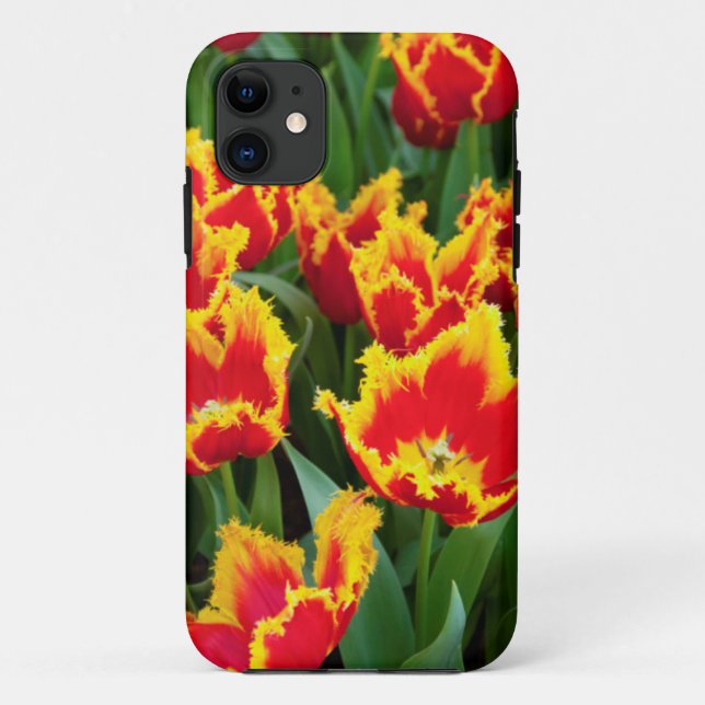 Tulipa Fabio, Keukenhof, Netherlands Case-Mate iPhone Case (Back)