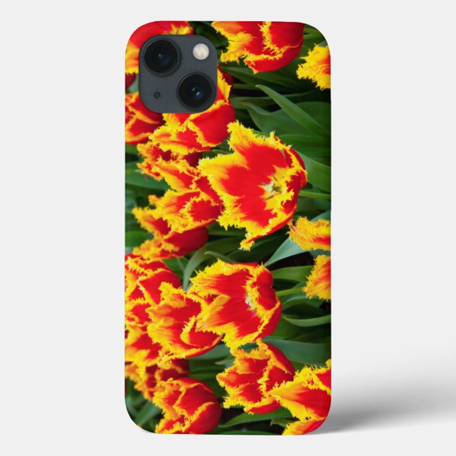 Tulipa Fabio, Keukenhof, Netherlands Case-Mate iPhone Case (Back)