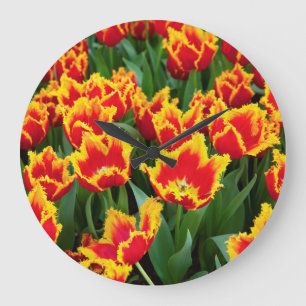 Tulipa Fabio, Keukenhof, Netherlands Large Clock