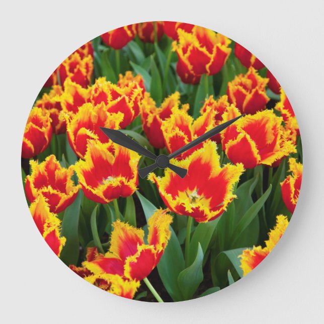 Tulipa Fabio, Keukenhof, Netherlands Large Clock (Front)