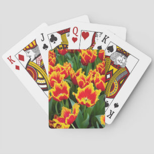 Tulipa Fabio, Keukenhof, Netherlands Playing Cards