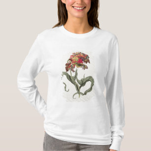 Tulipa Monstrosa Rubra Maior from 'Phythanthoza Ic T-Shirt
