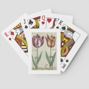 Tulipa Octaviani del pont, and Tulipa Elegant, fro Playing Cards