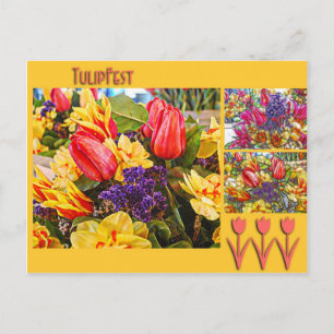 Tulipfest Tulip Postcard Spring Flowers