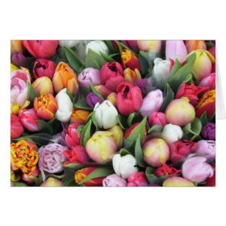 Tulips