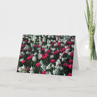 Tulips 16 Blank Greeting Card