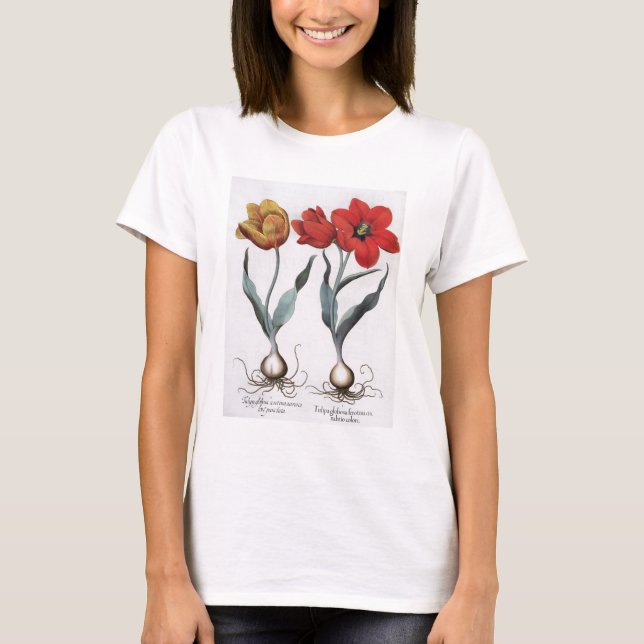 Tulips: 1.Tulipa globosa serotina cinnabrio colore T-Shirt (Front)