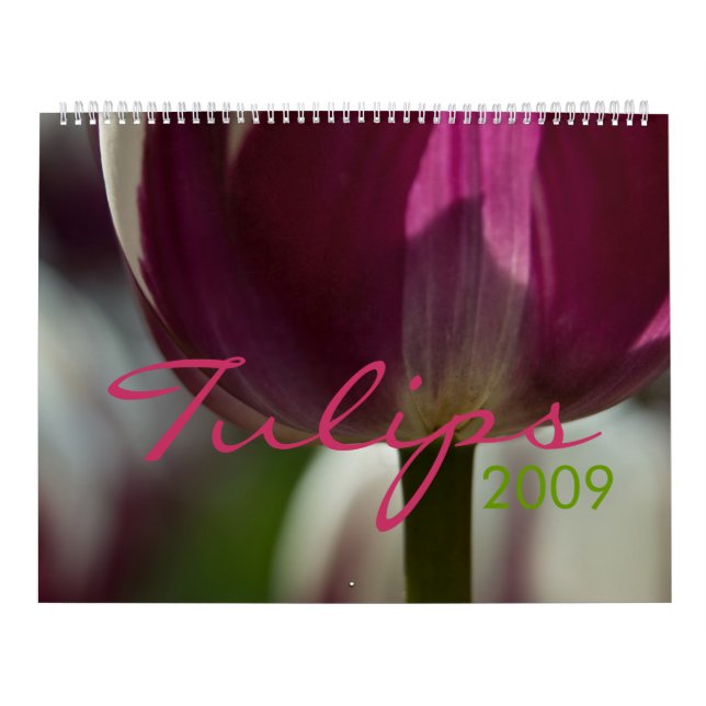 Tulips 2009 Calendar (Cover)