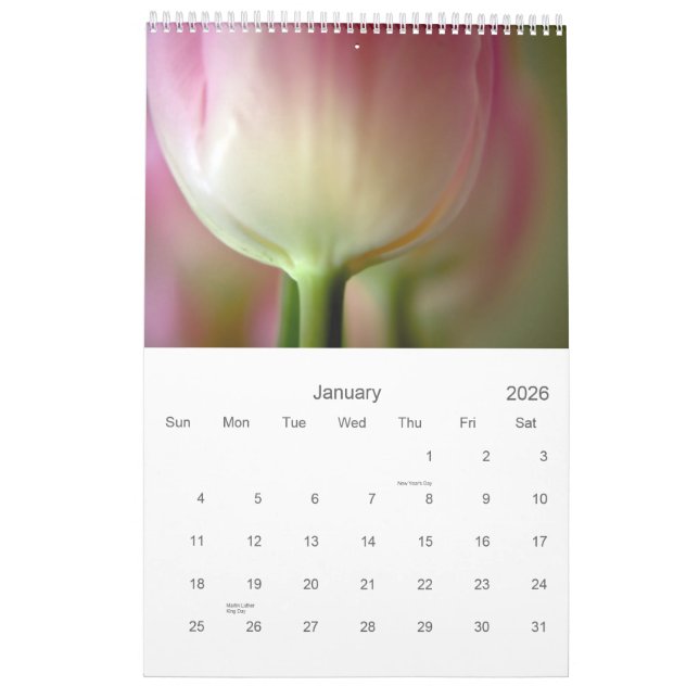 Tulips 2011 Calendar (Jan 2026)