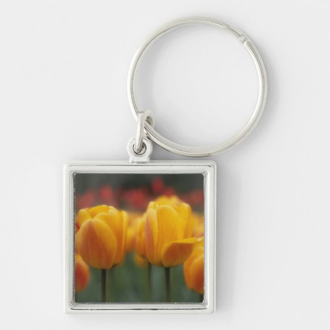 Tulips 2 key ring (Front)