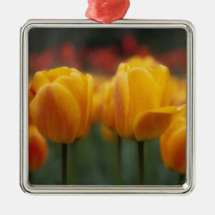 Tulips 2 metal tree decoration