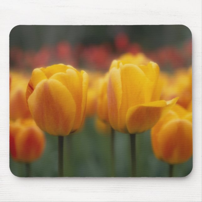 Tulips 2 mouse mat (Front)