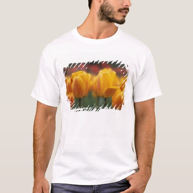 Tulips 2 T-Shirt (Front)