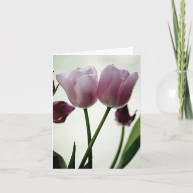 Tulips 3259 card (Front)
