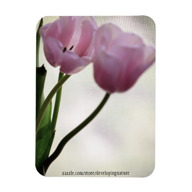 Tulips 3265 magnet (Vertical)