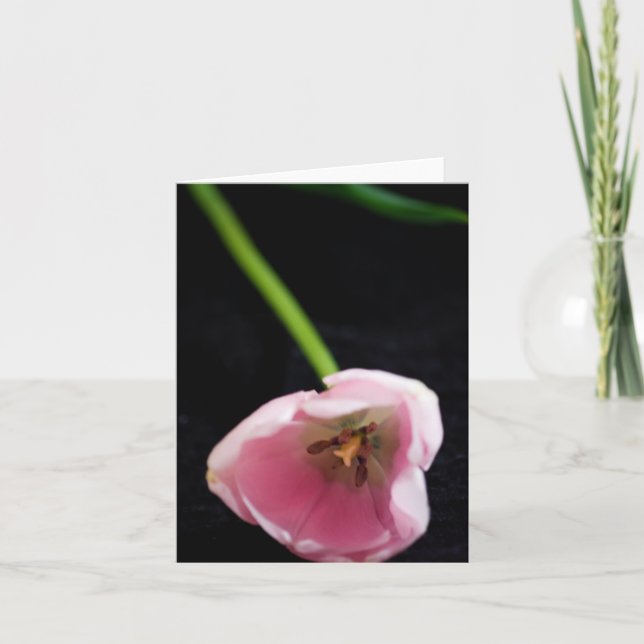 Tulips 3272 card (Front)