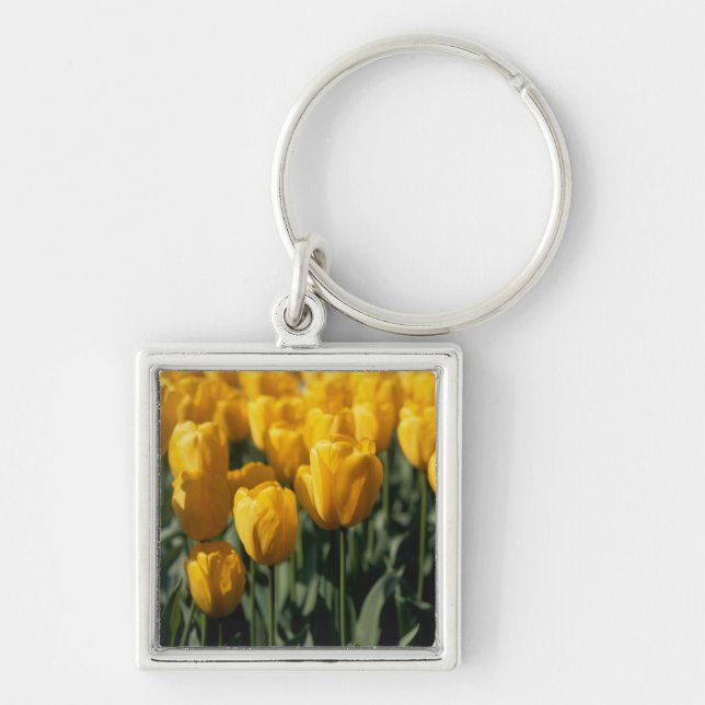 Tulips 3 key ring (Front)